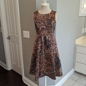 Stunning Lafayette dress